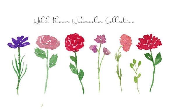 Cute Wild Flowers and Leaves Watercolor Illustrations for Digital Sellers
