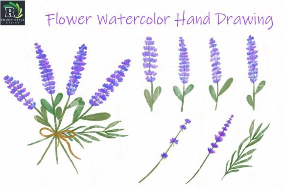 Lavender Flower Watercolor Illustrations for Crafting