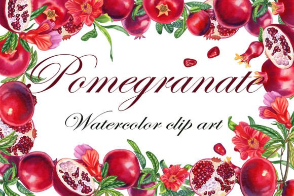 Pomegranates Watercolor Clip Art for Branding and Illustration Projects