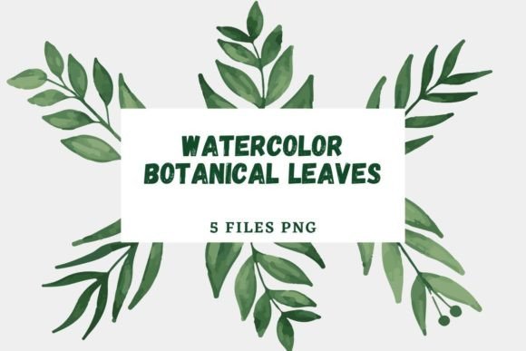 Watercolor Botanical Leaves 26: A Fresh Illustration for Modern Branding