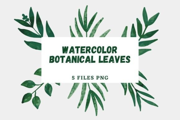 Watercolor Botanical Leaves Pack 27: A Designer’s Real-World Review for Branding and Creative Projects