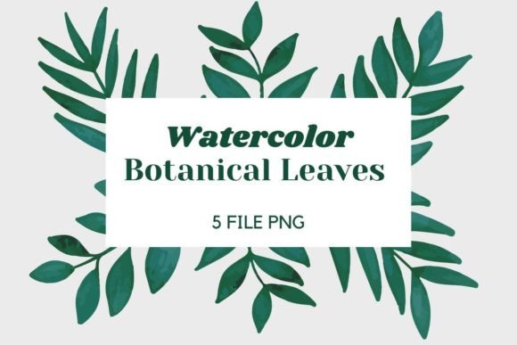 Watercolor Botanical Leaves Pack 30: A Designer’s Review for Branding & Marketing Use