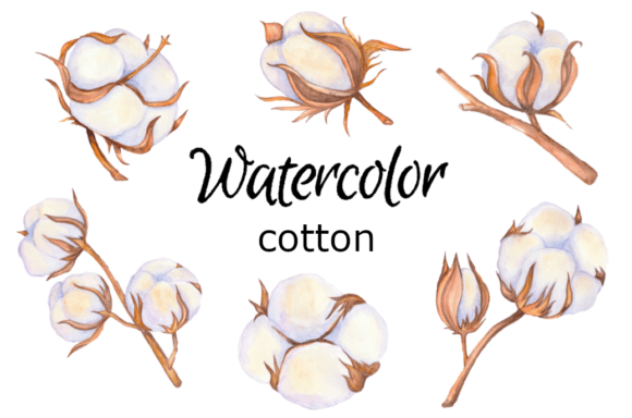 Watercolor Clipart Cotton Balls Flowers Illustrations for Brand Storytelling