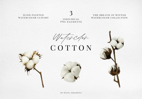 Watercolor Cotton Flowers Clipart Png for Real Crafting: A Crafter’s Honest Review