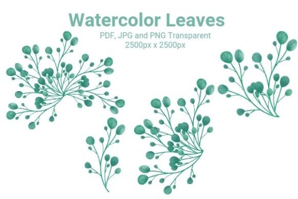 Watercolor Eucalyptus Leaves: A Fresh Illustration for Modern Branding and Marketing