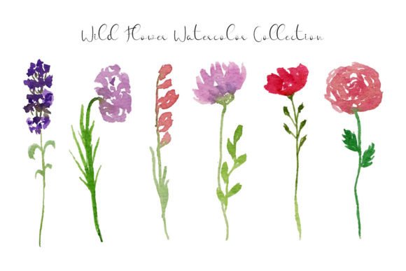 Wild Flowers and Leaves Watercolor: A Practical Review for Digital Sellers